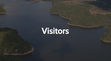 Visitors