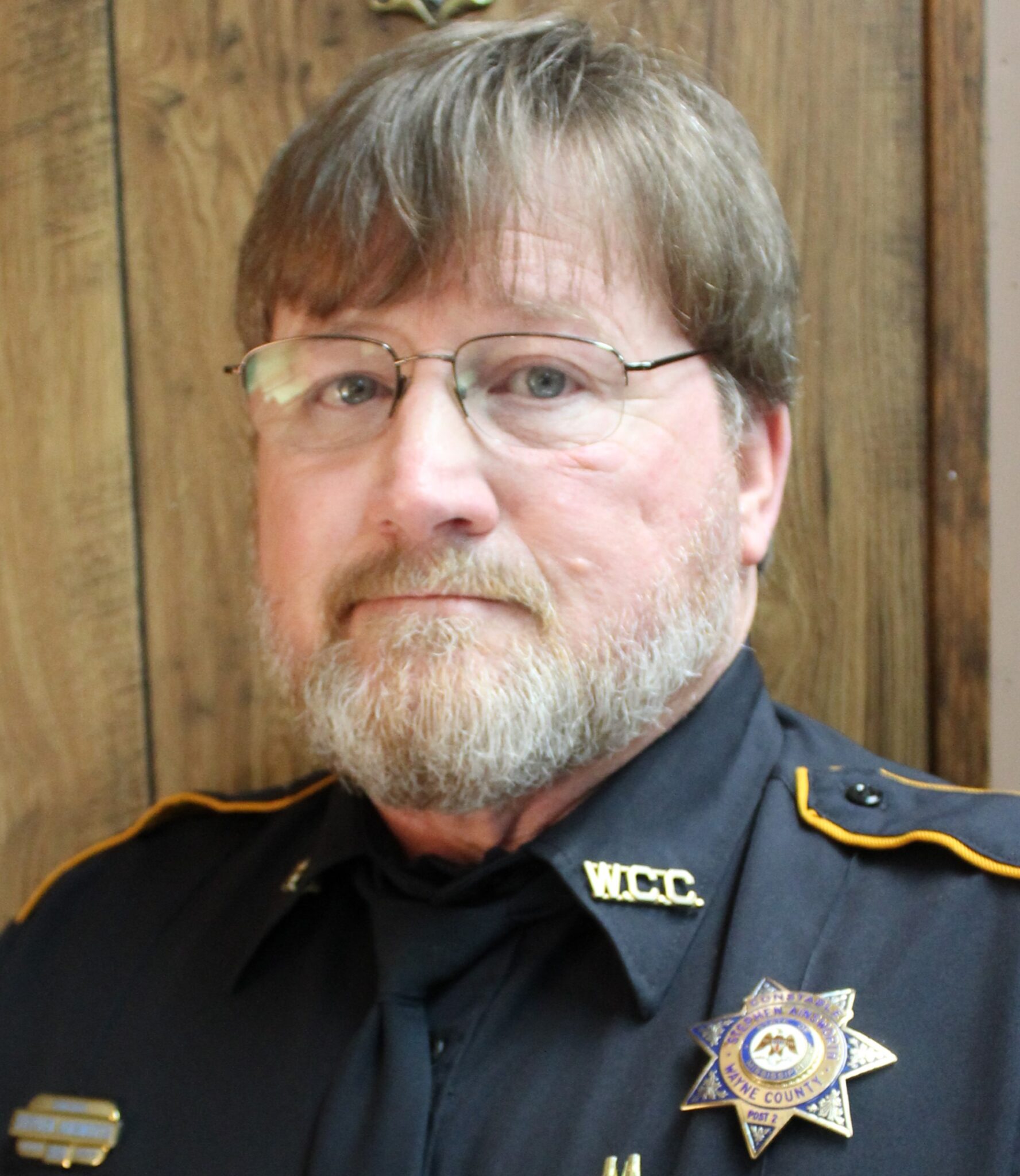 Constables Wayne County