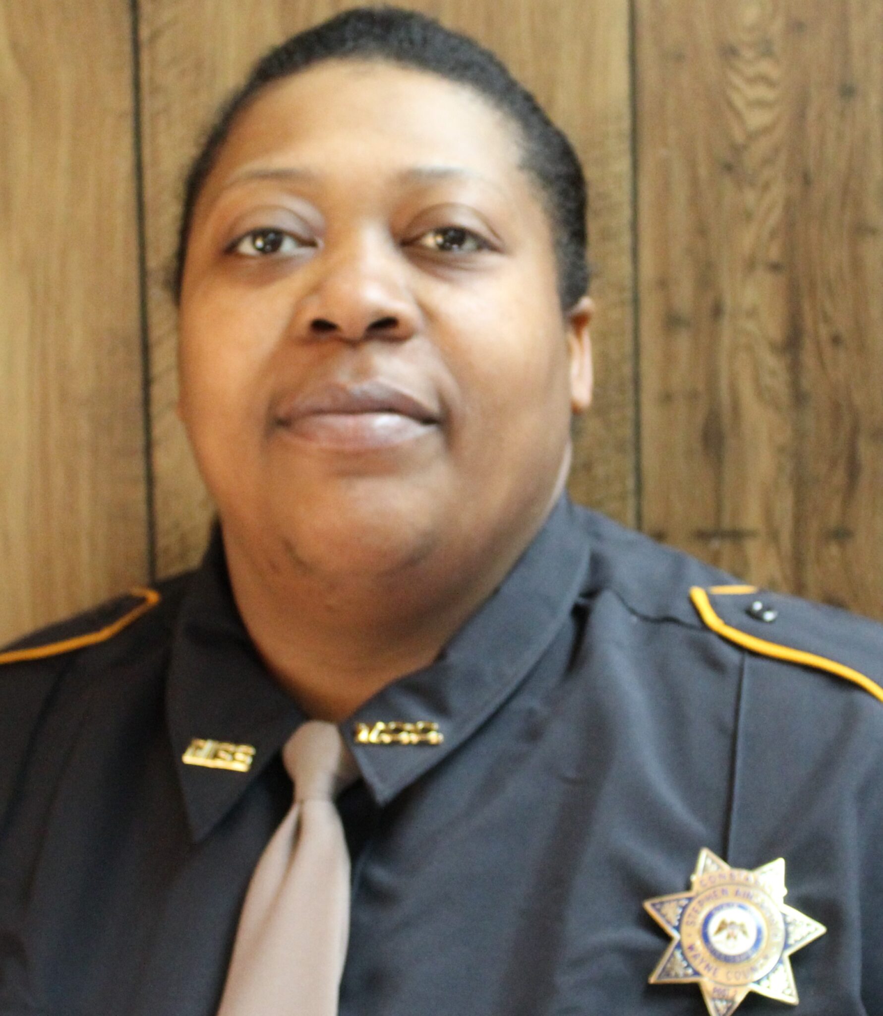 Constables Wayne County