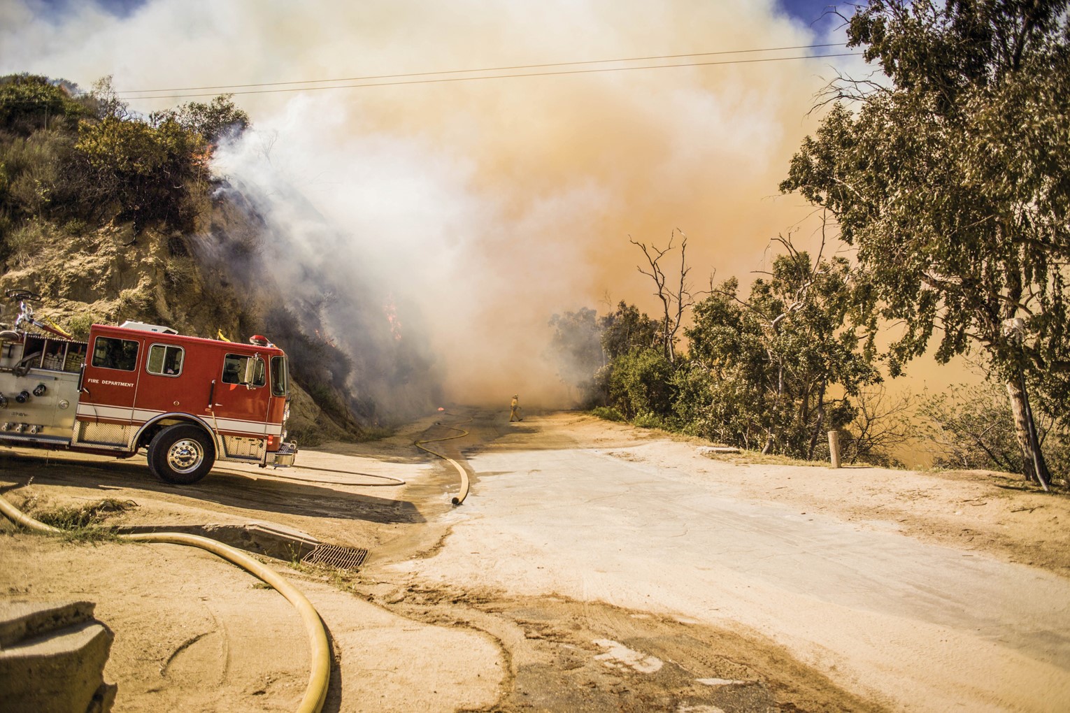 Emergency Management Wayne County